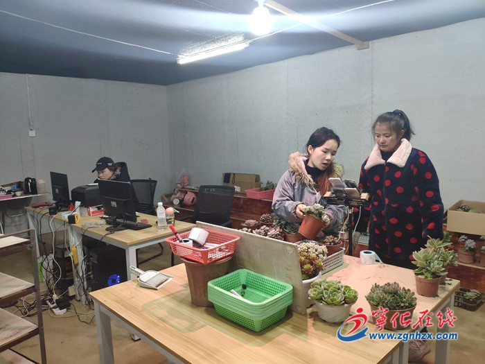 宁化安乐镇：多肉基地直播带货忙