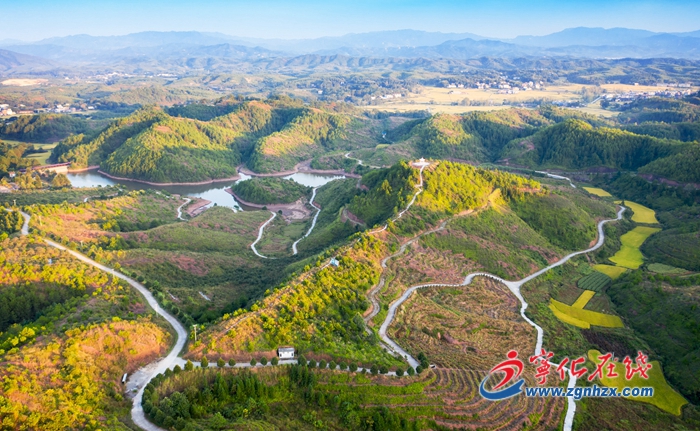 【中国绿都 最氧三明】宁化：大山的回报