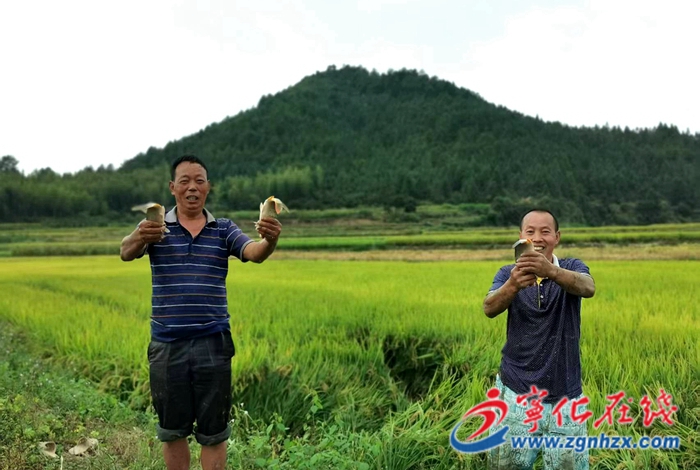 河龙乡:生态种养,助民增收