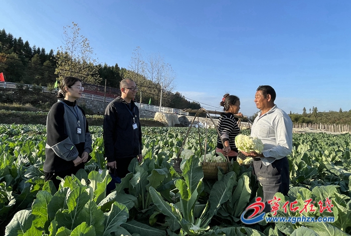 宁化：纪检干部田间地头听民声