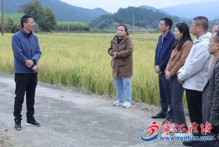 宁化:牡蛎壳“跨界”当肥料 让千亩酸土变沃土