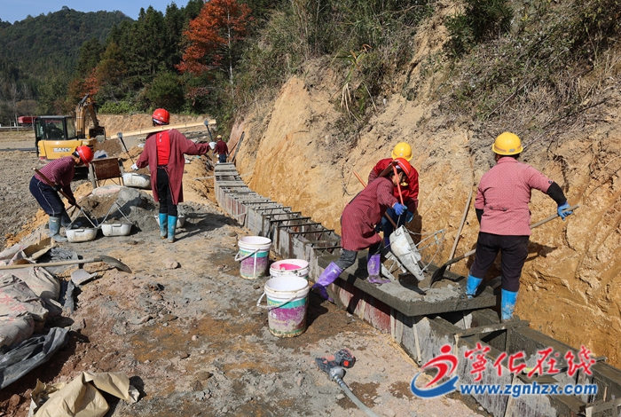 安远镇:高标准农田建设提速 夯实粮食安全根基