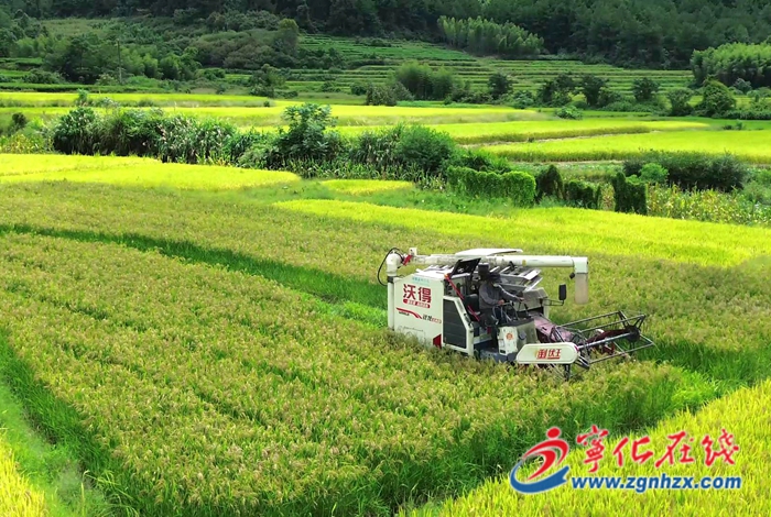 宁化:持续夯实粮食生产基础