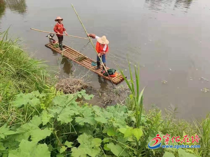 宁化县翠江镇：人大代表“巡河问水” 守护碧水清流