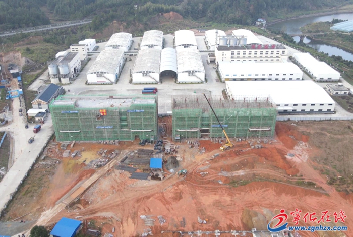 提振精气神,建功新福建丨宁化:加快建设薏米·河龙贡米精深加工项目