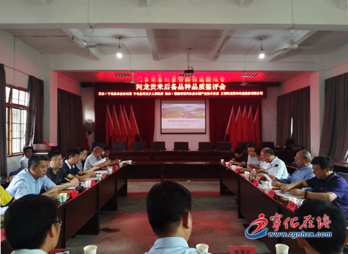 宁化举办第二届河龙贡米后备品种品质鉴评会