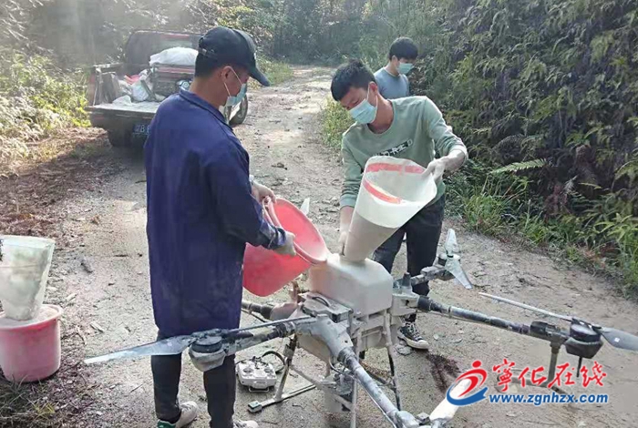 宁化采用无人机防治森林病虫害