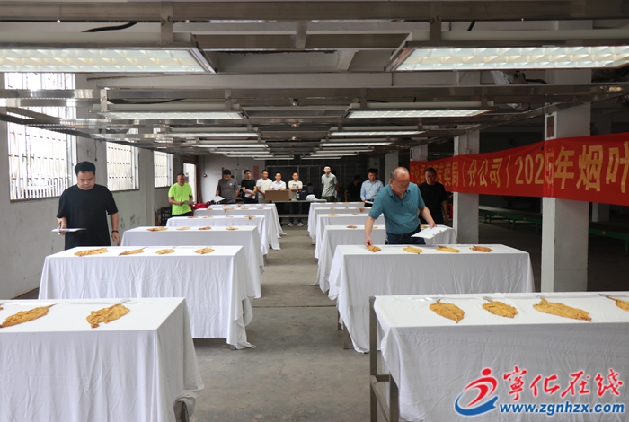 宁化县举办烟叶技能竞赛 助力乡村振兴人才建设